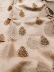 Cream organza saree with gold and silver intricate floral motifs scattered across the fabric.