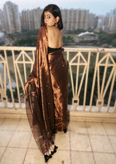 Tamarind Glow Soft Tissue Sitara Saree