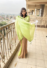 Prakriti Triveni Artisan Mul Saree