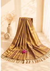 Royal Radiance Modal Tissue Saree