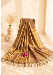 Royal Radiance Modal Tissue Saree