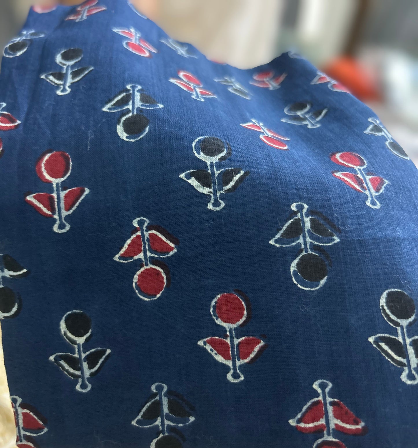 Indira – White Mul Saree with Ajrakh Border & Indigo Blouse